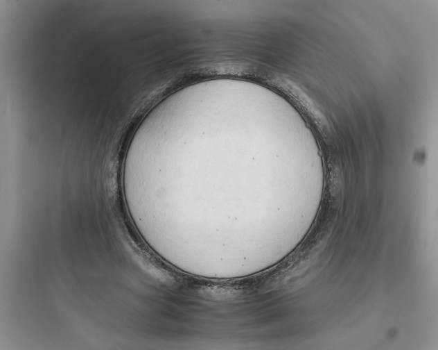 X0000097620537200803211748