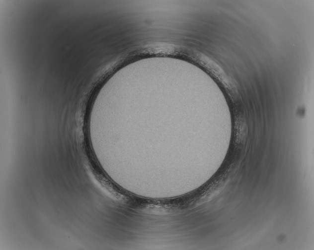 X0000097620538200803211748