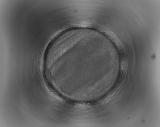 X0000097620540200803211748