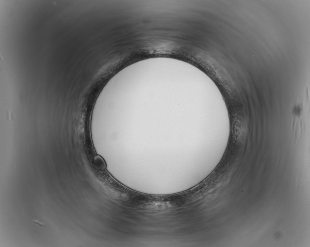 X0000097620543200803211748