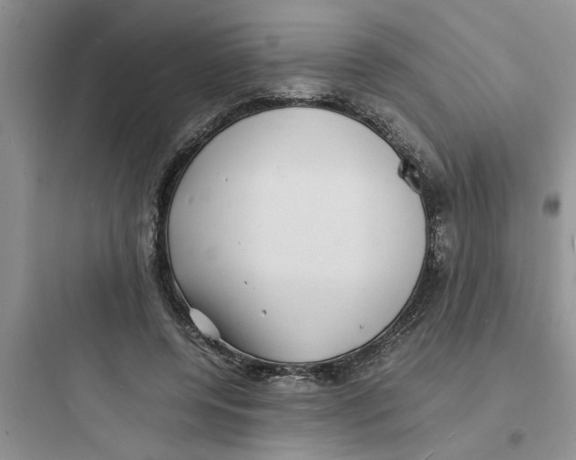 X0000097620544200803211748
