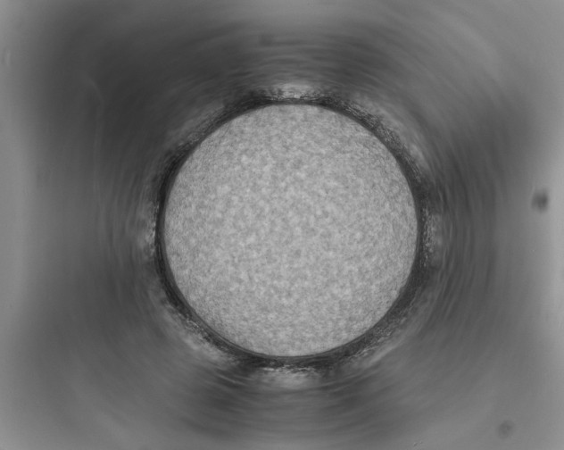 X0000097620545200803211748