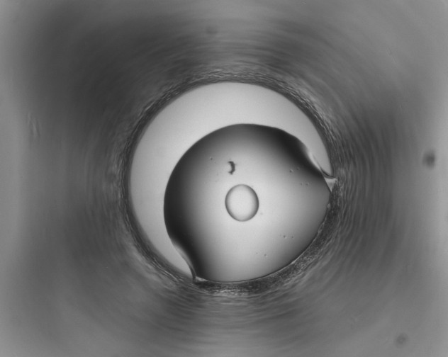 X0000097620546200803211748