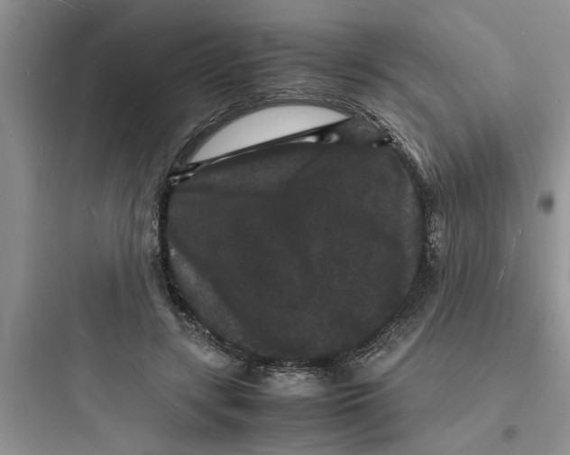 X0000097620547200803211748