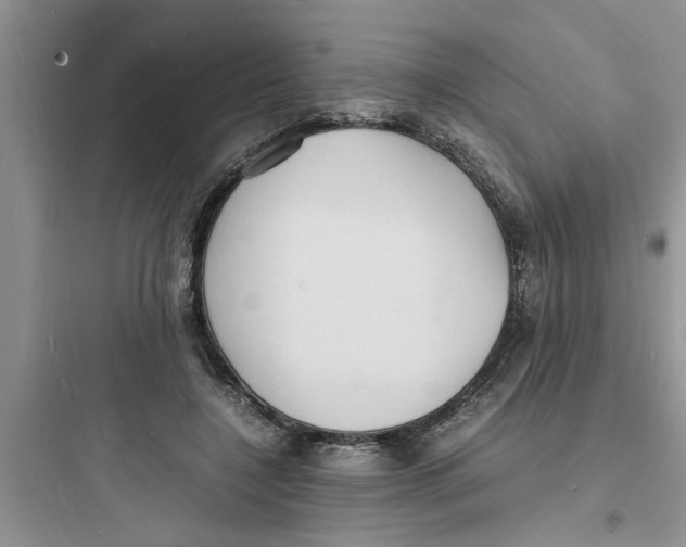 X0000097620548200803211748