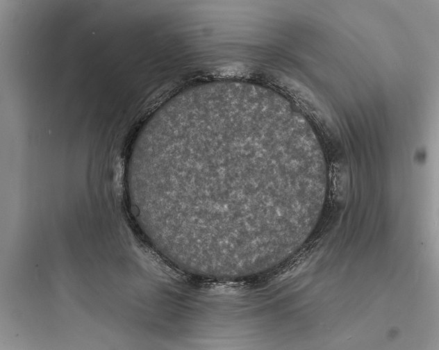 X0000097620550200803211748