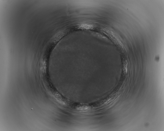 X0000097620551200803211748