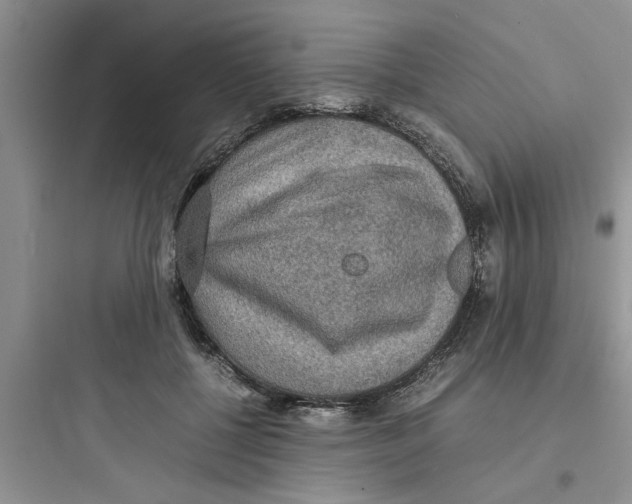 X0000097620552200803211748