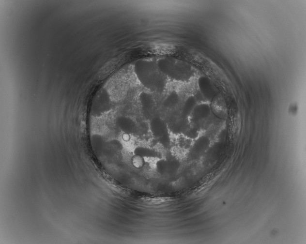 X0000097620553200803211748