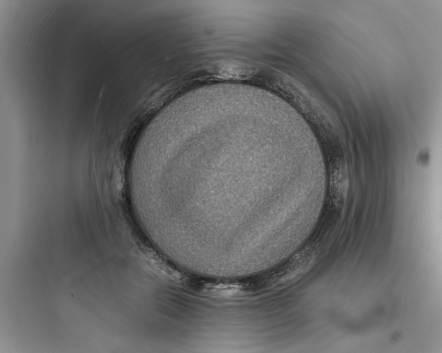 X0000097620554200803211748