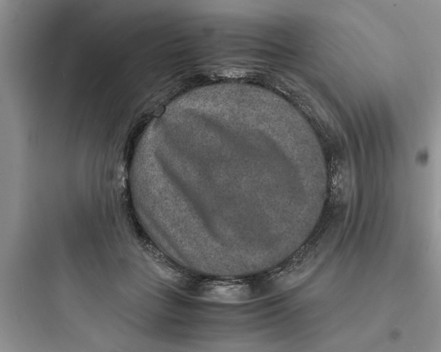X0000097620555200803211748