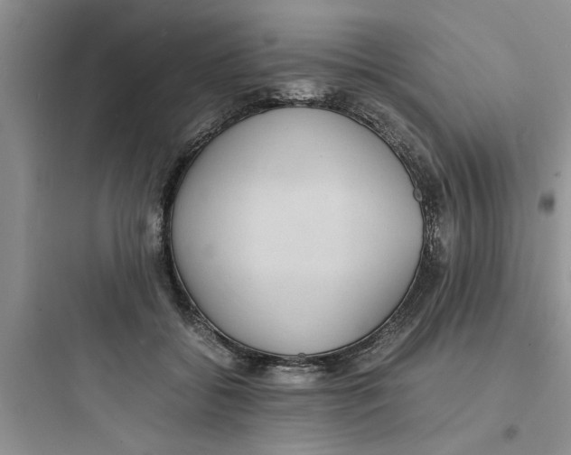 X0000097620556200803211748