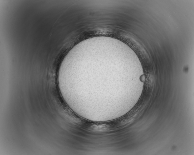 X0000097620557200803211748