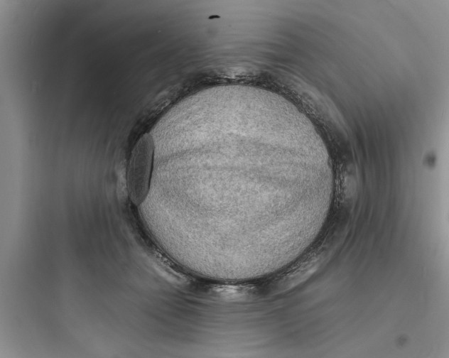 X0000097620558200803211748