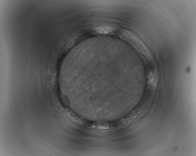 X0000097620559200803211748
