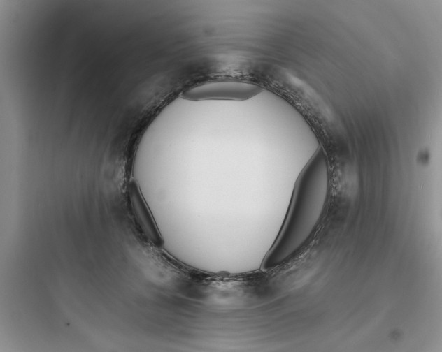 X0000097620560200803211748