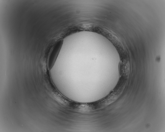X0000097620562200803211748