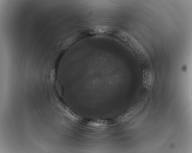 X0000097620563200803211748