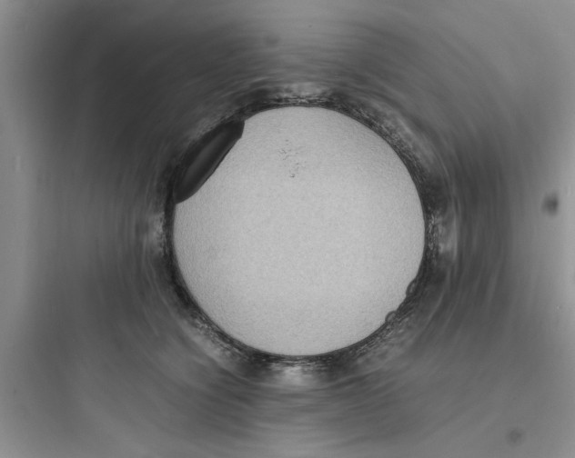X0000097620564200803211748