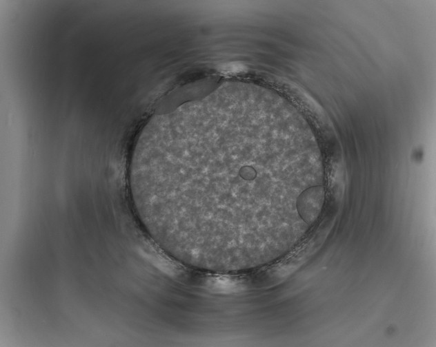 X0000097620565200803211748
