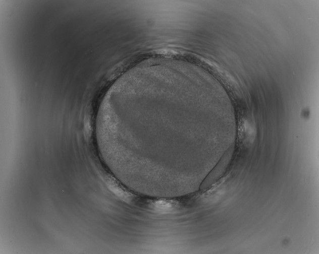 X0000097620566200803211748