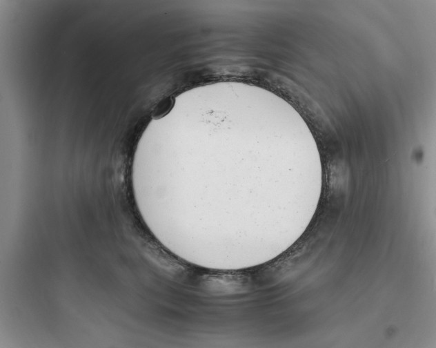 X0000097620567200803211748
