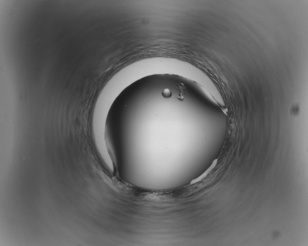 X0000097620568200803211748