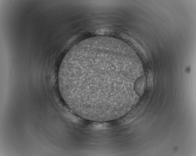X0000097620569200803211748