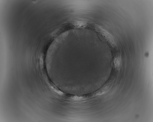 X0000097620570200803211748
