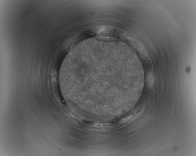 X0000097620571200803211748