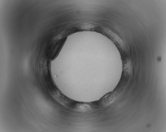 X0000097620572200803211748