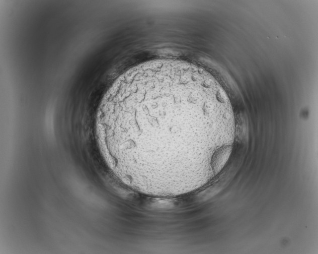 X0000097620573200803211748