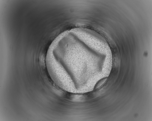 X0000097620575200803211748