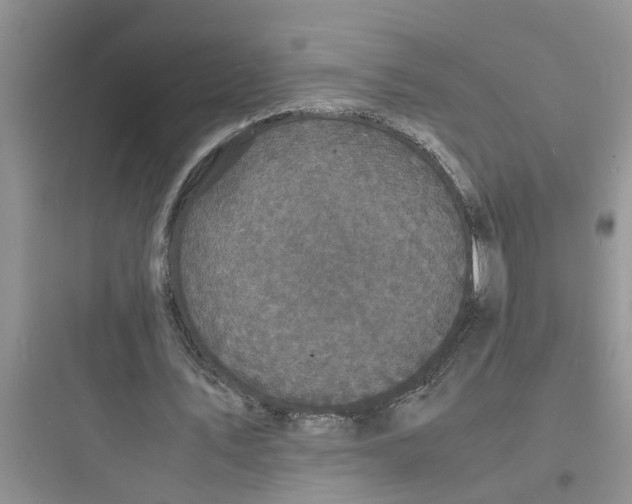 X0000097620579200803211748
