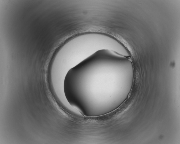 X0000097620581200803211748