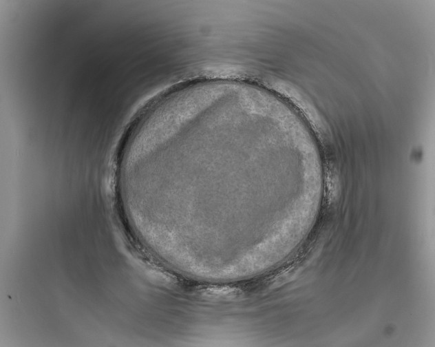 X0000097620583200803211747