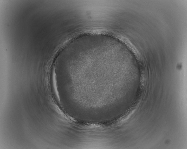 X0000097620585200803211747