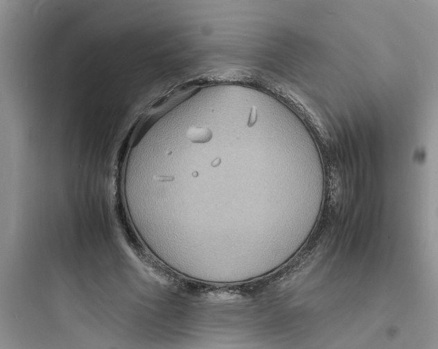 X0000097620586200803211747