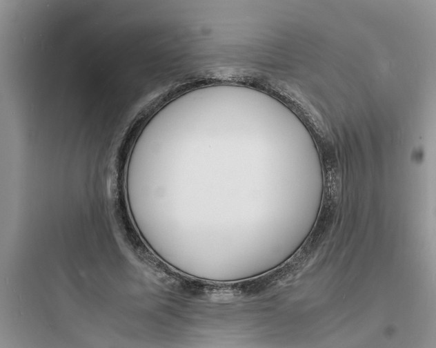 X0000097620587200803211747