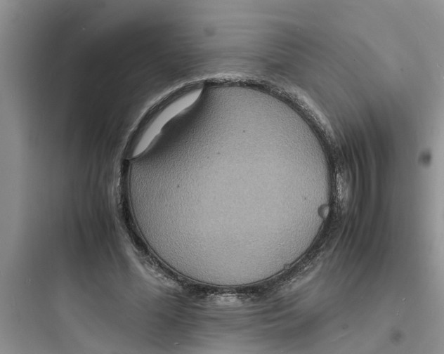 X0000097620588200803211747