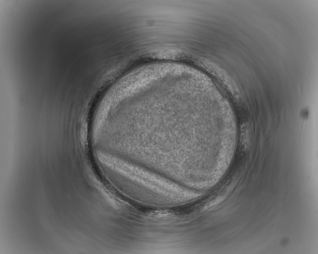X0000097620589200803211747