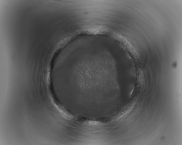 X0000097620590200803211747