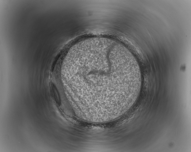 X0000097620592200803211747