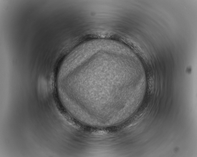 X0000097620594200803211747