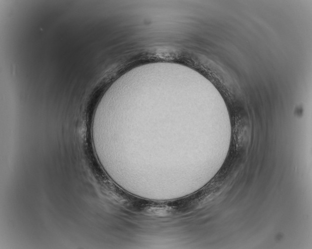 X0000097620595200803211747