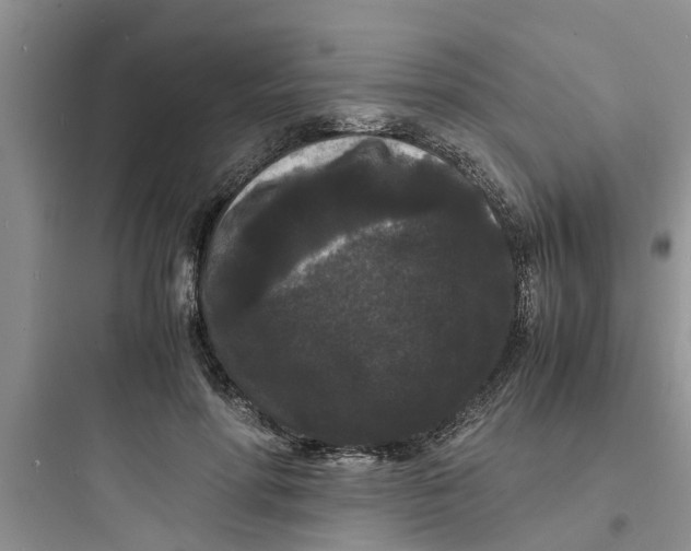 X0000097620598200803211747