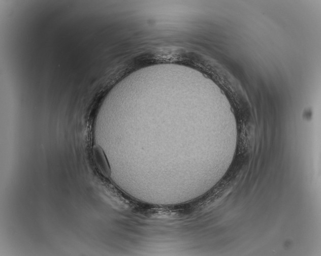 X0000097620601200803211747