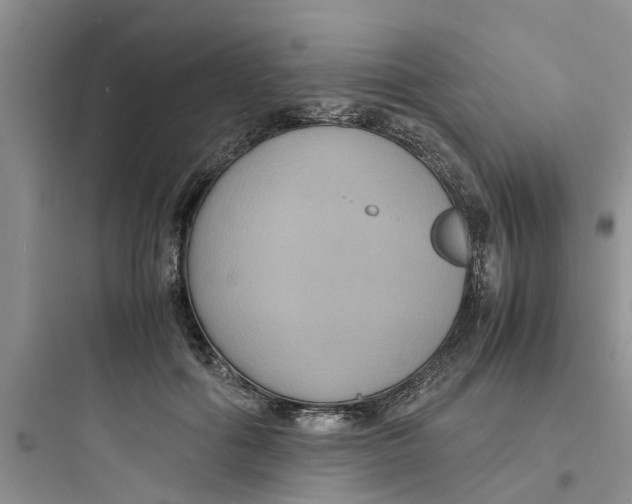 X0000097620602200803211747