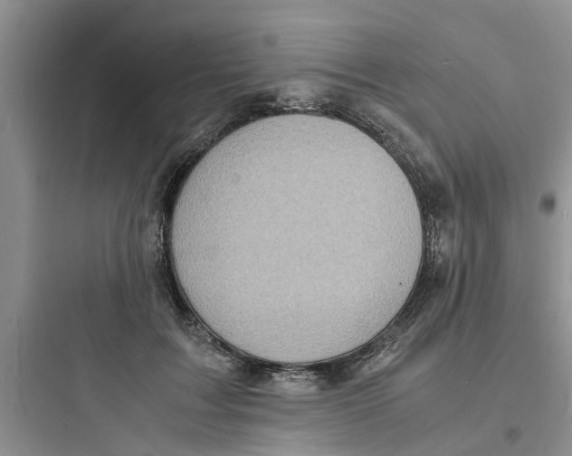 X0000097620603200803211747