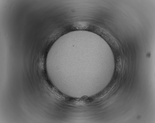 X0000097620604200803211747